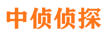 城子河私家侦探